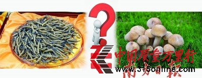 x(chng)݃r(ji)Sɱ (zhun)ҷQ(chng)I(yng)B(yng)r(ji)ֵĢ