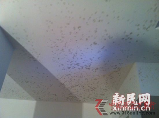 綠地薔薇四季的多套別墅出現(xiàn)滲水,天花板發(fā)霉。新民網記者胡彥珣 現(xiàn)場回傳